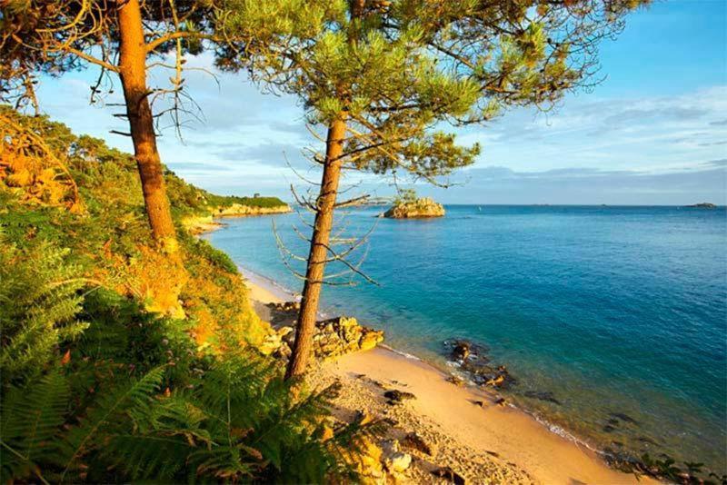 Gite De Charme Entre Terre Et Mer Villa Plougonven ภายนอก รูปภาพ